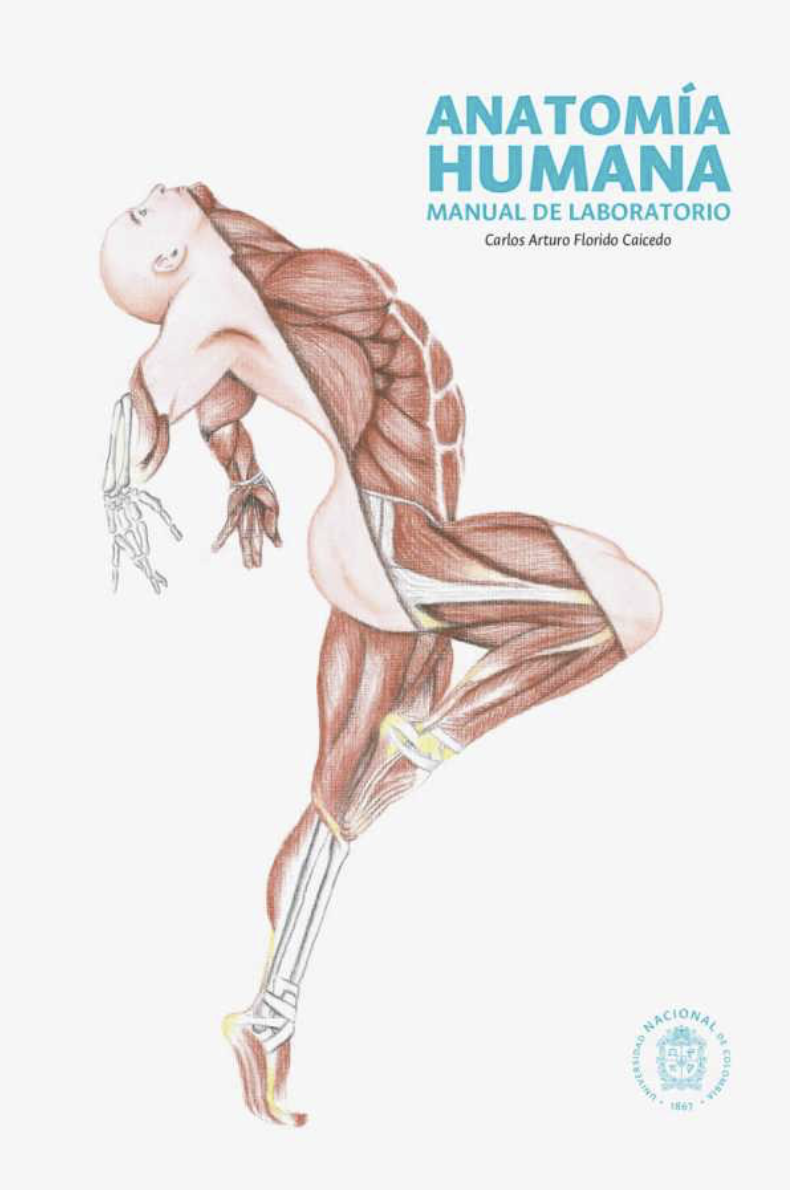 Anatomía humana-Manual de laboratorio