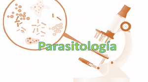 parasitologia 300 166 9874c